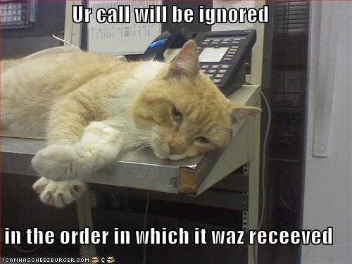 funny-pictures-cat-ignores-your-phone-call